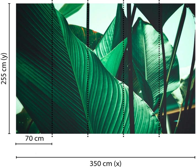 Fotobehang LeafStalks1 DD118556 A.S. Création Designwalls | 3D Fotobehang
