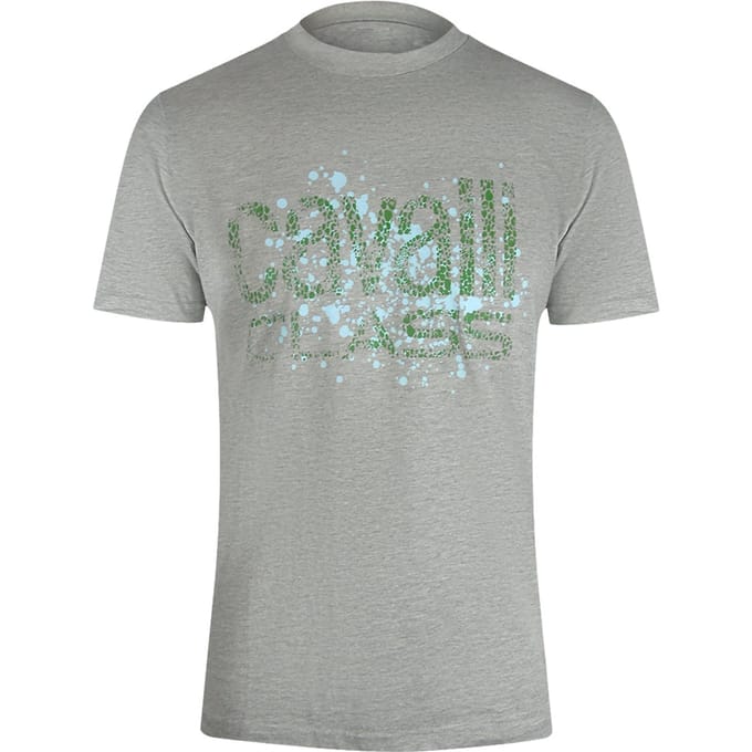 Cavalli Class Gebarsten Gespoten Logo Grijs Gemêleerd T-shirt