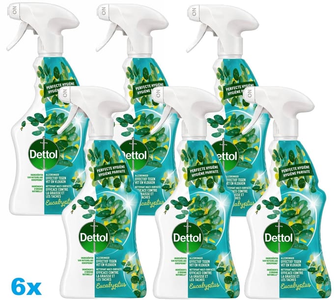 Dettol Allesreiniger Spray Eucalyptus - 6 x 500ml - 6 Stuks