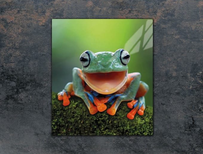 TMK ArtDeko Serie - Snijplank Glas - 45x52 cm - Motief: Kikker