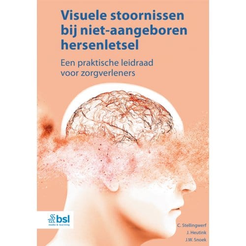 Visuele Stoornissen Bij Niet-Aangeboren Hersenletsel - C. Stellingwerf