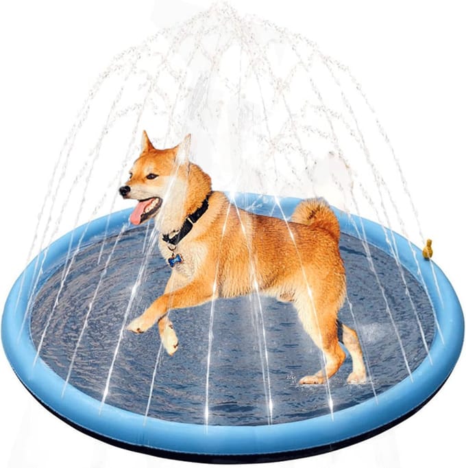 Watersproeier - Speelmat - Sproeimat voor Honden - 170cm - Blauw