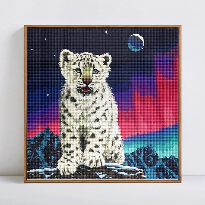 5D diamant schilderij volledige ronde dier luipaard diamant borduurwerk verkoop diamant 30x30 black