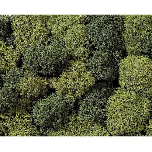 NOCH 8621 Mos Lichtgroen, Donkergroen