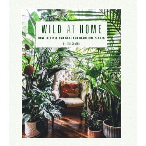 Wild At Home - Hilton Carter