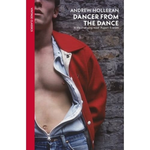 Dancer From The Dance - Vintage Classics - Andrew Holleran