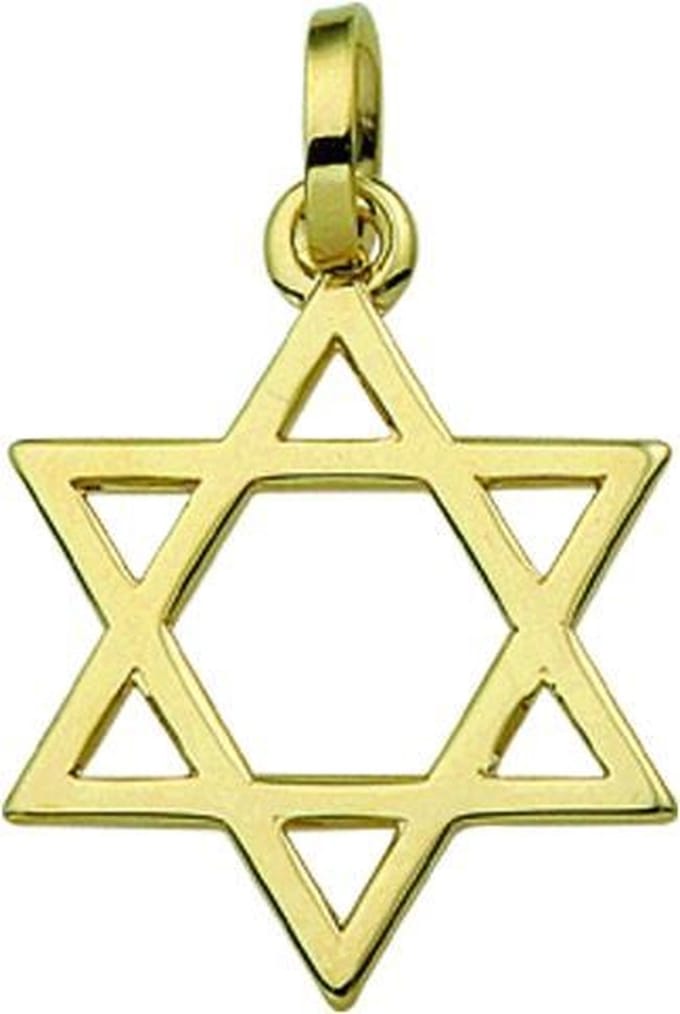 The Jewelry Collection Hanger Davidster - Goud