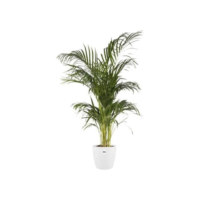 Elho Brussels Rond 30 - Bloempot voor Binnen - Ø 29.5 x H 27.1 cm - Wit