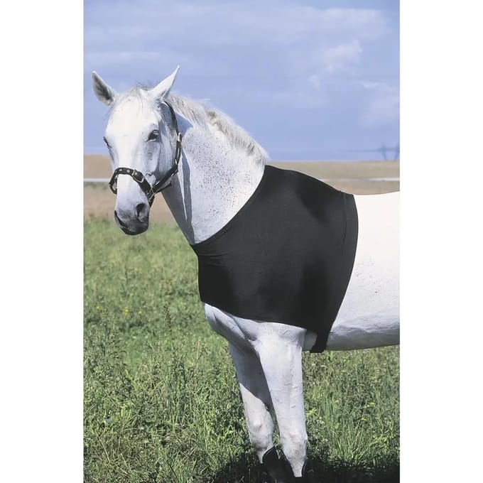 Schouderbeschermer voor paarden Equithème