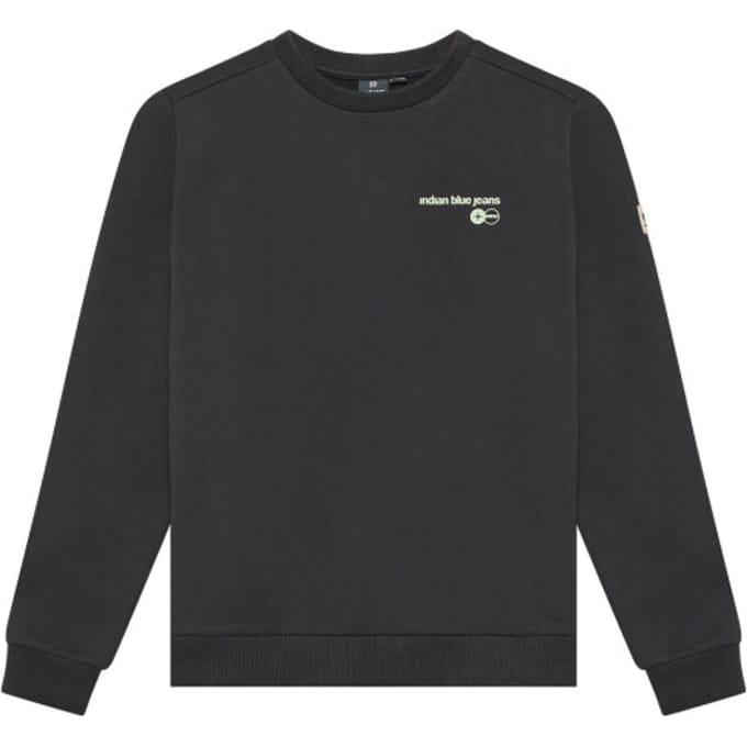 Indian Blue Sweat 960757