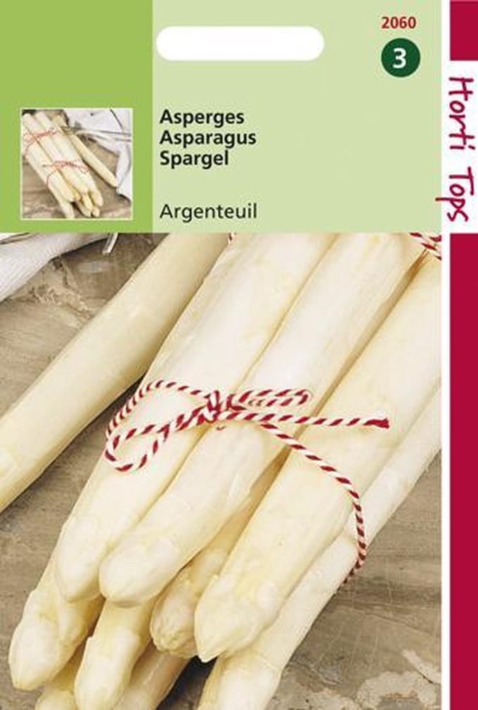 Hortitops Zaden - Asperges Argenteuil