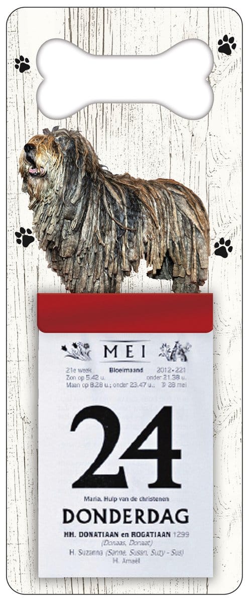 Scheurkalender 2027 Hond: Bergamasco