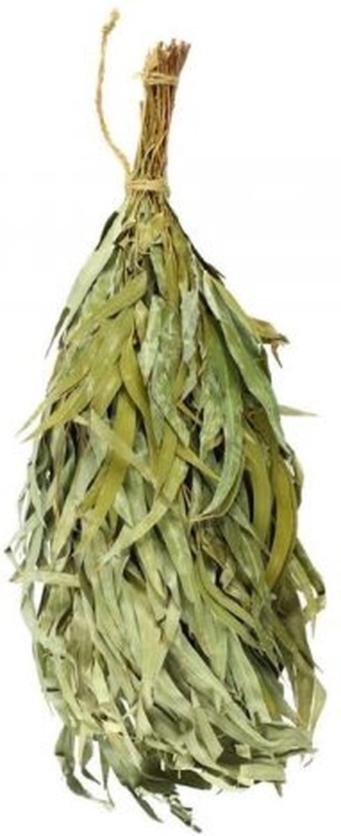 Rento Eucalyptus takken