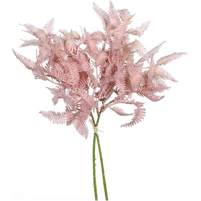 Varentak "Rosee"
