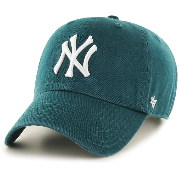 47 Mlb New York Yankees Clean Up Pet Groen Man