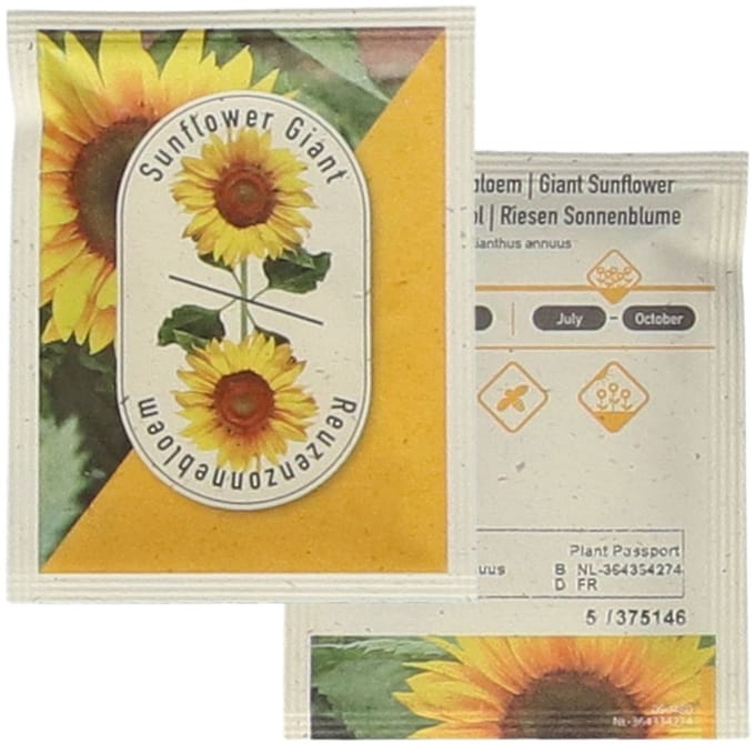 Reuzen Zonnebloem - Helianthus annuus