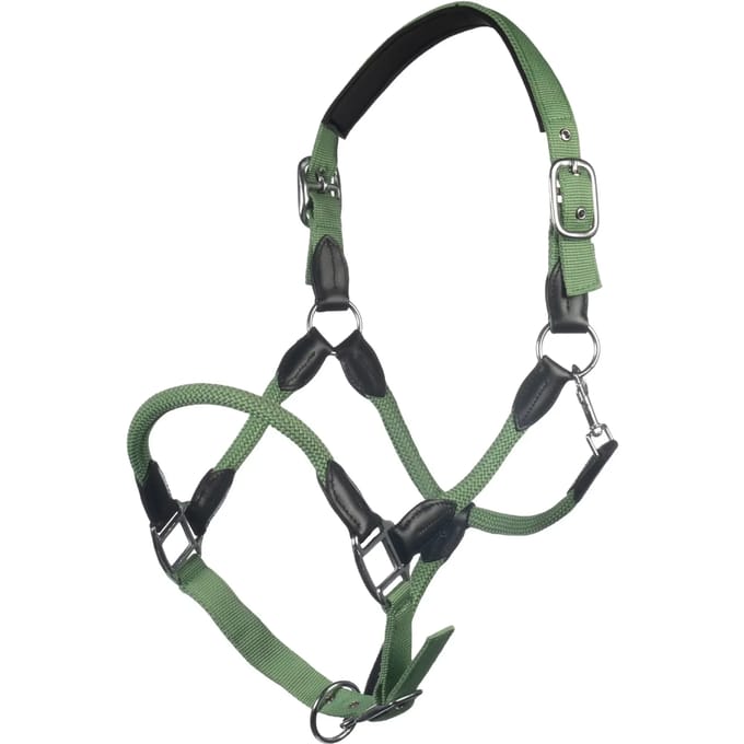 Halster voor paarden HKM Carlotta