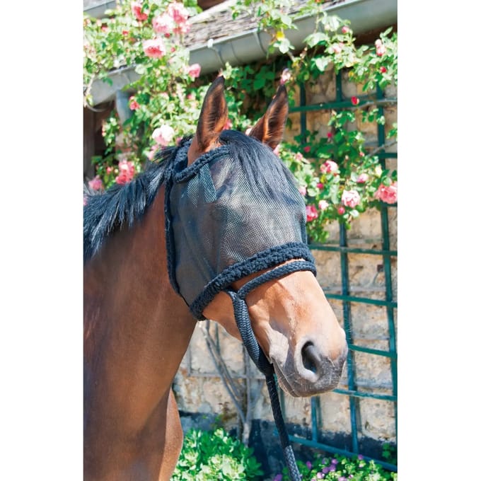Cap voor weidepaarden zonder oren T de T