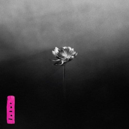 Lotus - Little Simz