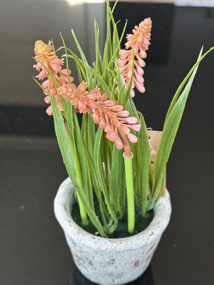 Sierpotje - druif - roze - 2 stuks