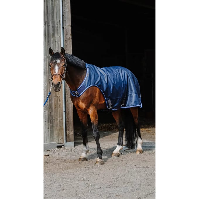 Paardenloopdeken Equithème Classic 1200D
