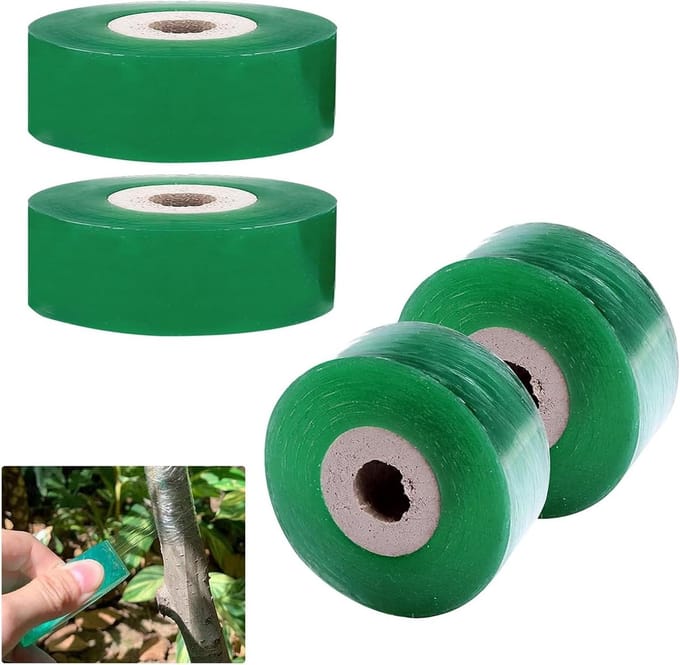 Solidchoice - 4 Stuks Transparante Enten, 2 cm Breed voor Planten