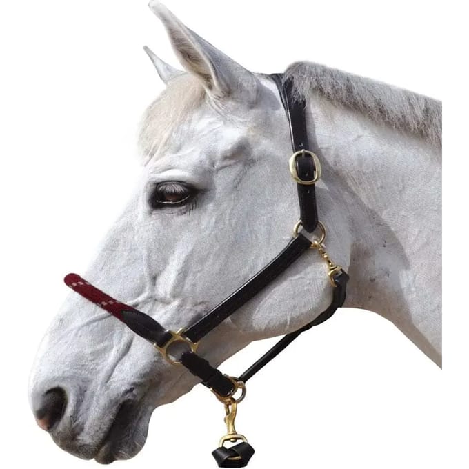 Touwhalster voor paarden Canter