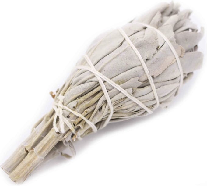 Witte Salie tulp - smudge stick - 1 stuk - 10cm