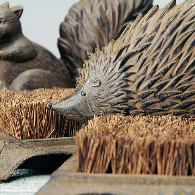 Brosse à Chaussures Hérisson