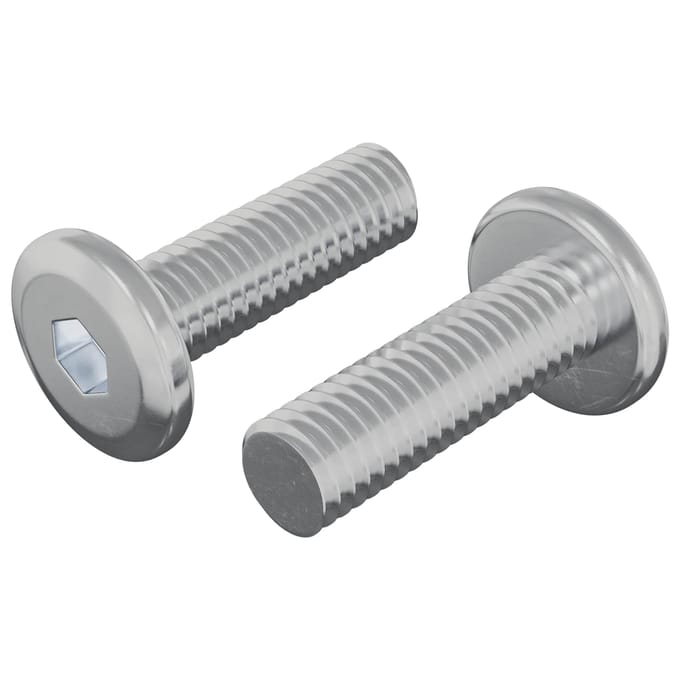 vidaXL Schroef 2 pcs Zilver 8 x 25 mm Staal