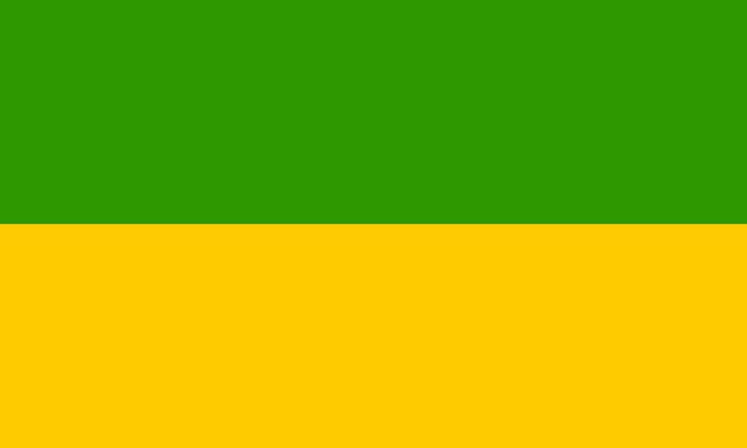 Vlag Recklinghausen 100x150cm