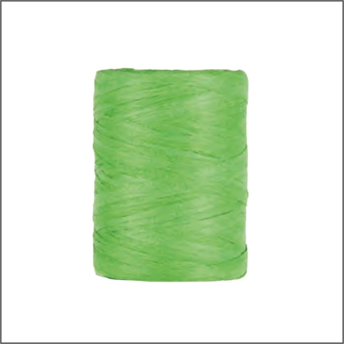 Luxe Cadeaulint - Raffia Lint - Paper Lint - Appel Groen - 100 meter - 5mm - Hobbylint - Versierlint - Papier