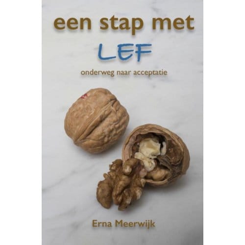 Een Stap Met Lef - Erna Meerwijk