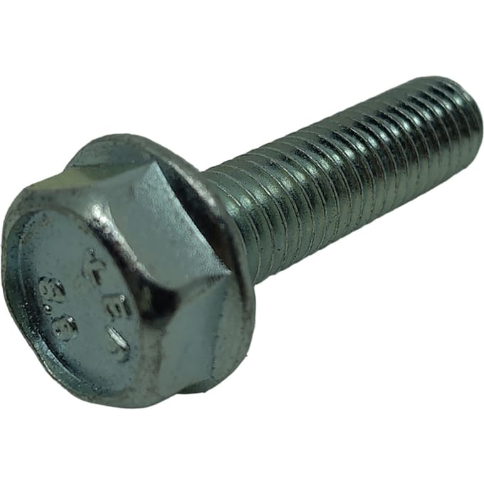 Screw