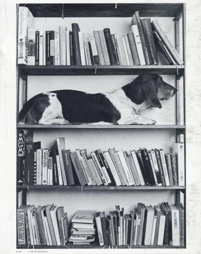 Mini zwart-wit poster - Eda - Antonin Maly - 24x30 cm