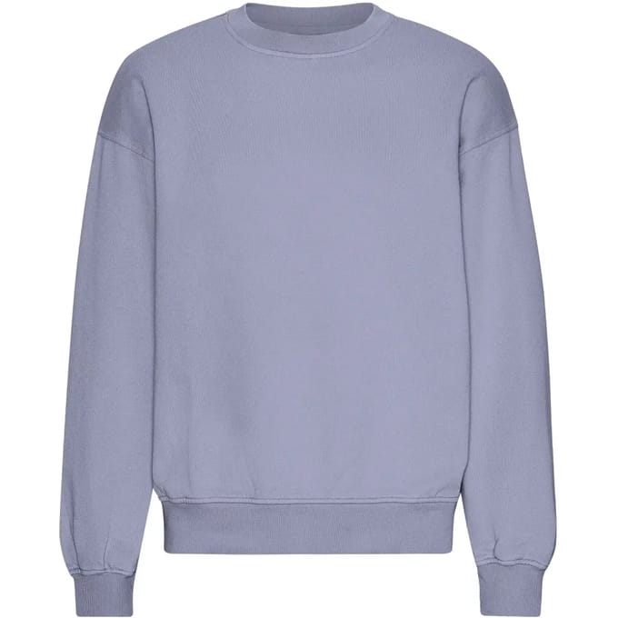 Oversized sweatshirt met ronde hals Colorful Standard Organic Purple Jade