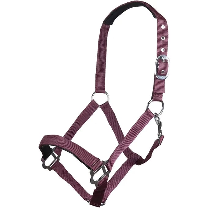 Halster voor paarden HKM Sydney
