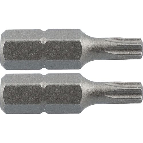 Labor schroefbit TX20x25mm (2 Stuks)