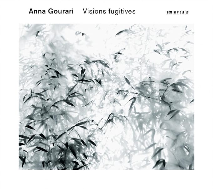 Anna Gourari - Visions Fugitives (CD)