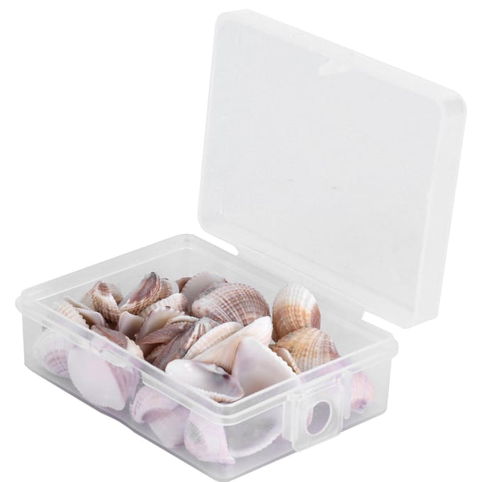 DIY Knutselen Natuurlijke Schelp Sieraden Maken Strandfeest Bruiloft Zeeschelpen Decoraties white