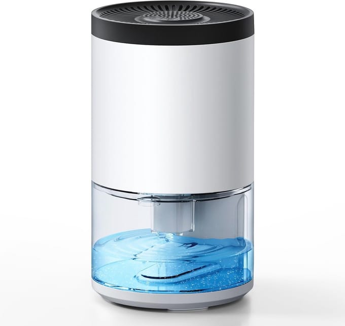 Draagbare Mini Luchtontvochtiger 1000ml voor Slaapkamer en Badkamer