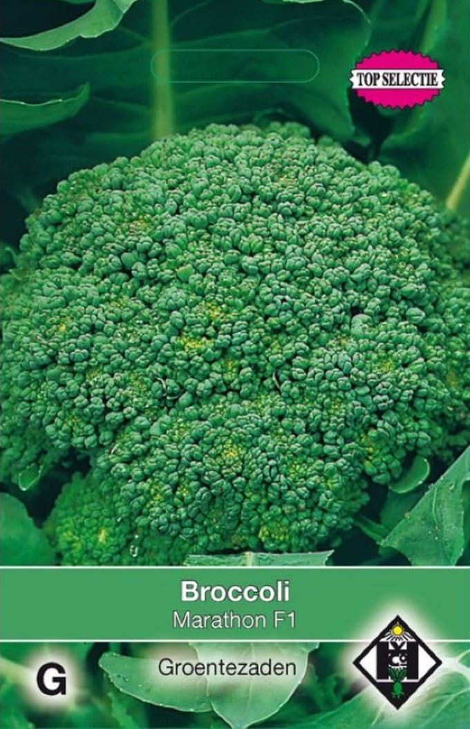 Van Hemert - Broccoli Marathon F1