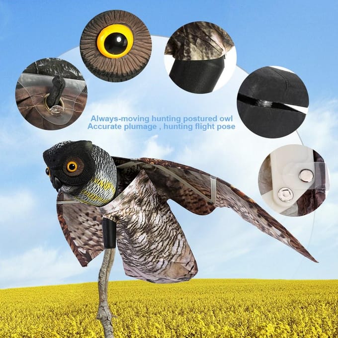 Prowler Uil met Bewegende Vleugel Tuinvogelverschrikker Roofdier Lokvogel Ongedierte gray