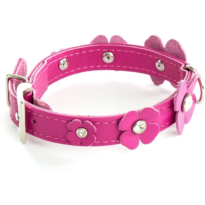 Hondenhalsband Sellerie Canine Vendéenne Trefle