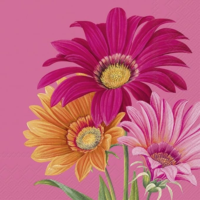 IHR Lunch servetten - Joyful Gerbera Pink