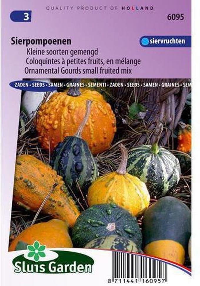 Sluis Garden - Cucurbita Kleine vruchten gemengd (sierkalebassen)
