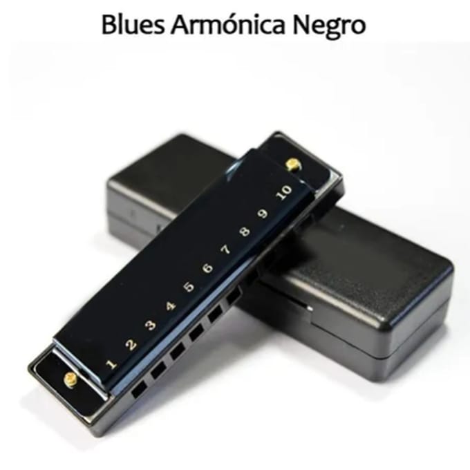 Harmonica 10 Trous Noir Brillant Léger Pratique Gamme Complète pour la Performance black