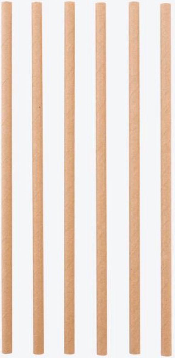 Point-Virgule set van 48 papieren rietjes bruin 19.5cm