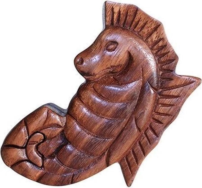 Bali Magic Box - Zeepaardje