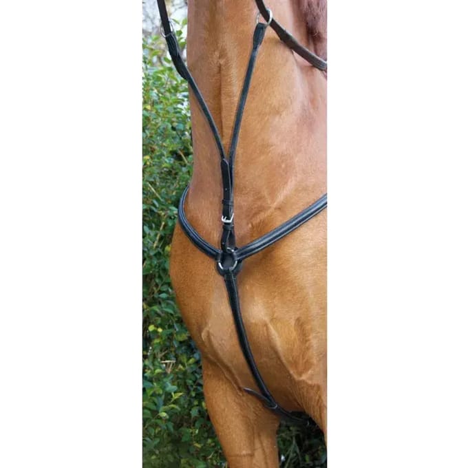 Gevoerde jachthalsband voor paarden T de T